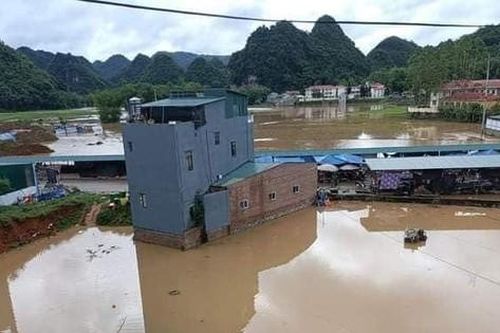 3 người bị sét đánh tử vong trong cơn mưa dông ở Thái Bình