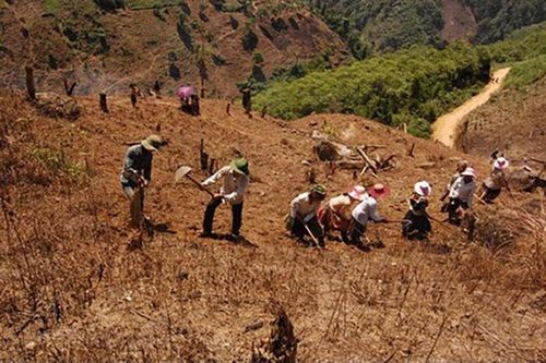 Đắk Nông kiến nghị Trung ương hỗ trợ 540 tỷ để ổn định dân di cư