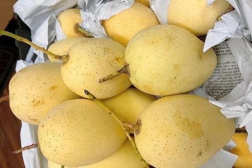 Xuất giảm nhập tăng: Trái cây ngoại đổ bộ, hàng nội tràn chợ giá rẻ bèo
