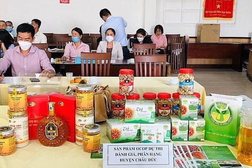 Bà Rịa - Vũng Tàu: Triển khai thực hiện Chiến lược sở hữu trí tuệ đến năm 2030