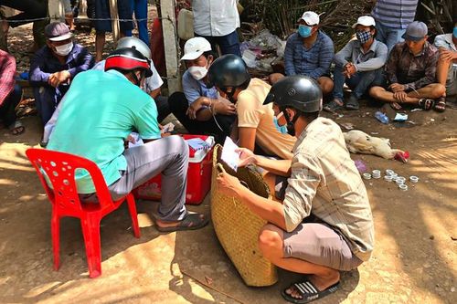 Triệt phá tụ điểm đá gà ăn thua bằng tiền tại khu vực biên giới Tiền Giang