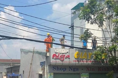 Đi tỉa cây thuê, người đàn ông bị điện giật tử vong