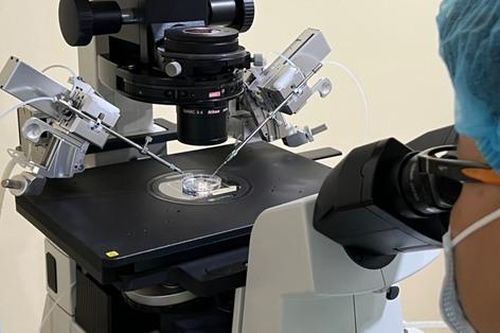 2 ca điều trị vô sinh thành công bằng quy trình ROSI đầu tiên tại Việt Nam