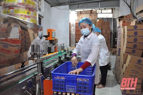 Ứng dụng khoa học - công nghệ trong sản xuất nước mắm truyền thống