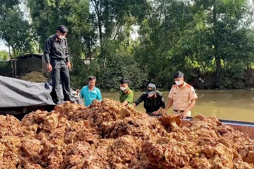 Công an mật phục bắt giữ 12 phương tiện vận chuyển đất mặt trái phép