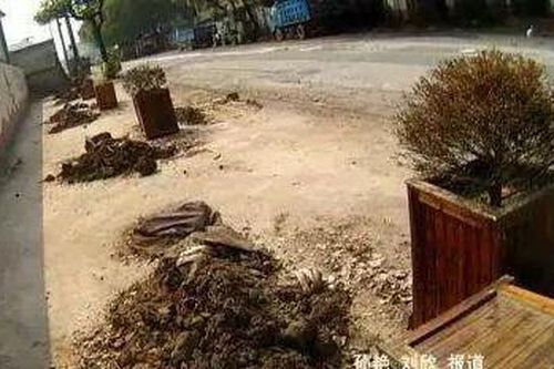 Tỷ phú nổi tiếng nửa đêm lái xe đi trộm đồ, lý do ai cũng sốc