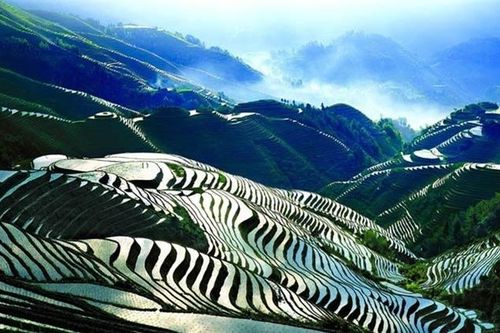 Điểm danh ruộng bậc thang ở châu Á 'hút hồn' khách du lịch