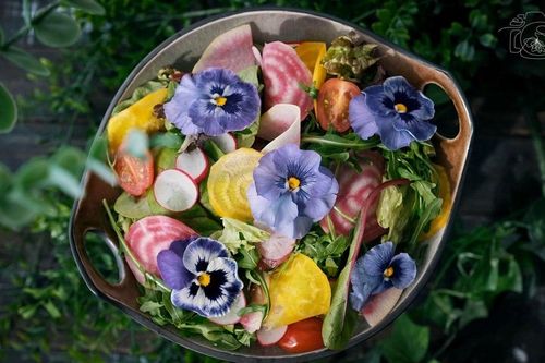 Cô gái Việt 'mang mùa xuân vào bếp' nhờ hoa ăn được