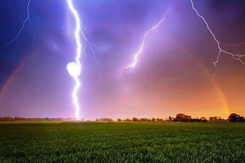 Đi thu hoạch lúa, người đàn ông bị sét đánh tử vong