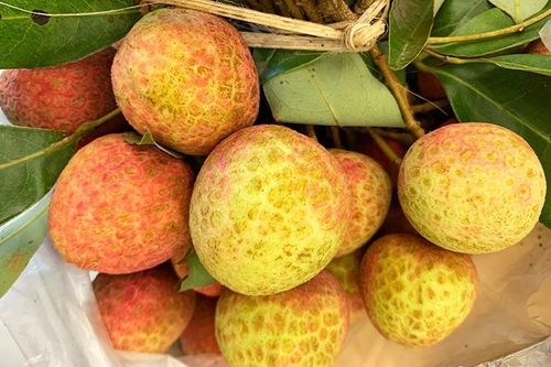 Đắt nhất chợ Hà Nội: Vải thiều u trứng 160.000 đồng/kg vẫn 'cháy hàng'
