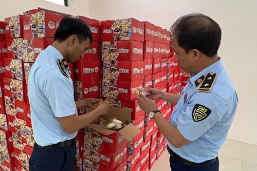 Hà Nội: Thu giữ hàng nghìn thùng bánh bông lan, táo đỏ có dấu hiệu nhập lậu