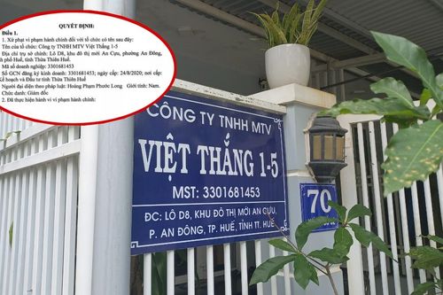 Vụ công ty và tài xế bị xử phạt hơn 430 triệu đồng: Xem xét giảm tiền phạt là vô căn cứ