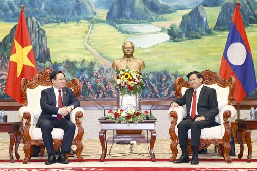Chủ tịch Quốc hội chào xã giao Tổng Bí thư, Chủ tịch nước Lào