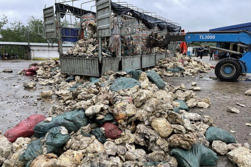 Thừa Thiên - Huế: Phát hiện công ty cao su xả thải trái phép