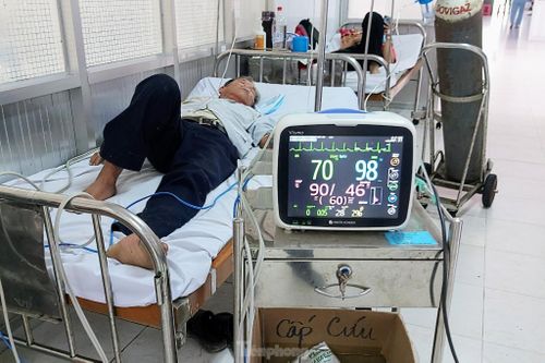 Vô tình chạm trúng tổ, đàn ong bay ra vây kín đầu, đốt hơn 20 mũi