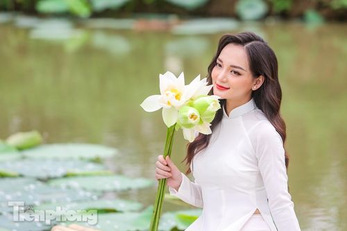 Đầm sen trắng nở sớm thu hút người dân Hà thành chiêm ngưỡng