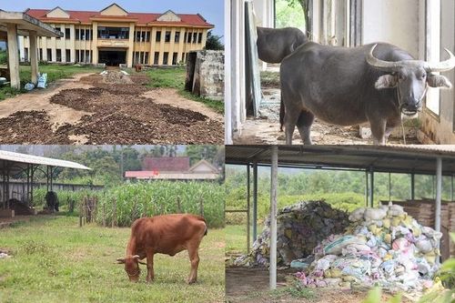 Dân 'khát' đất bên dự án xi măng nghìn tỷ đồng 'treo' hơn thập kỷ
