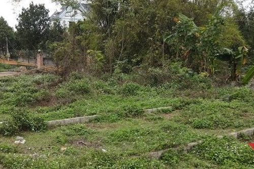 Nóng ruột gom tiền lao vào cơn sốt, bạc mặt chôn vốn ôm hận 10 năm