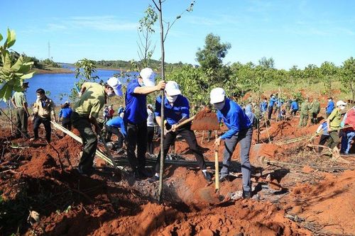 Đắk Nông phát động trồng gần 3 triệu cây xanh