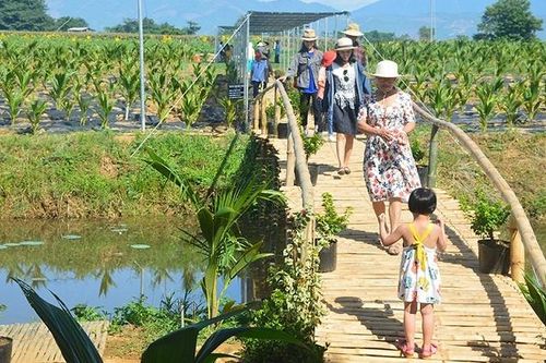 Phát triển du lịch xanh, hướng đi bền vững cho HTX ở Quảng Nam
