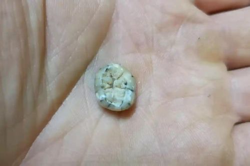 Chiếc răng 130.000 năm tuổi ở Lào tiết lộ manh mối mới về loài người