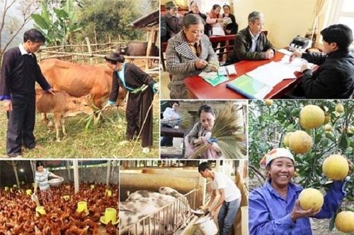 Bố trí ổn định dân cư vùng thiên tai, đặc biệt khó khăn