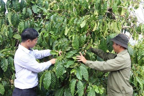 Đắk Lắk: Phát triển du lịch gắn với xây dựng nông thôn mới