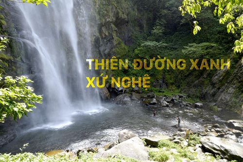 Thiên đường xanh xứ Nghệ