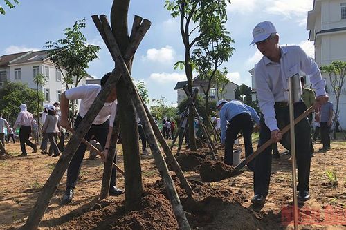 Thành phố Hồ Chí Minh phát động 'Tết trồng cây đời đời nhớ ơn Bác Hồ'