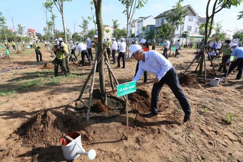 TPHCM phát động 'Tết trồng cây đời đời nhớ ơn Bác Hồ' năm 2022