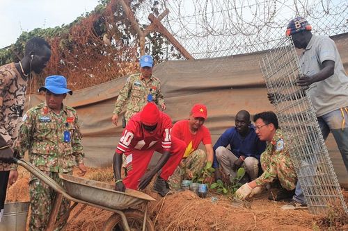 Chiến sĩ mũ nồi xanh trồng cây phủ xanh vùng đất khô cằn ở Nam Sudan