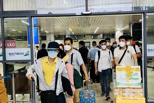 Giá vé máy bay khó rẻ khi giá nhiên liệu liên tục tăng cao