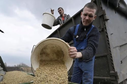 Nông dân tiền tuyến Ukraine chật vật canh tác sau chiến sự ác liệt