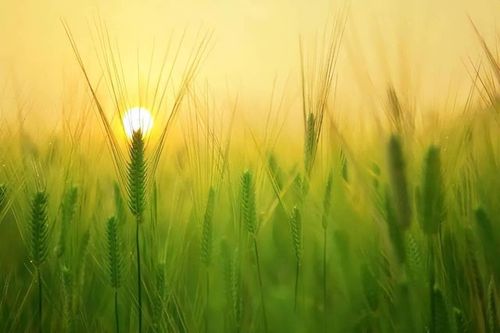 Nếu một ngày thấy mình đang lãng phí cuộc sống, hãy làm 10 điều này