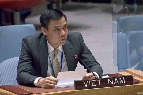 Việt Nam kêu gọi bảo đảm an ninh lương thực nhằm thúc đẩy hòa bình và phát triển trên thế giới
