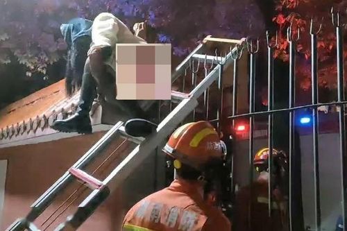 Nửa đêm trèo tường ra ngoài đi hẹn hò, nữ sinh gặp tai nạn nhớ đời