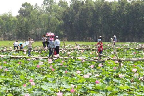 Đầu tư hạ tầng để mở đường cho du lịch nông nghiệp Đồng bằng sông Cửu Long
