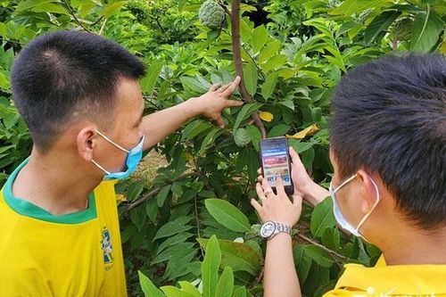 Kết quả chuyển đổi số tác động mạnh mẽ đến đời sống người dân Lạng Sơn