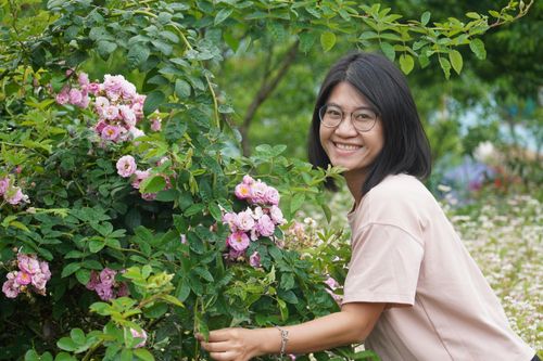 Ngỡ ngàng ngắm hoa Tam giác mạch trái mùa tại Hà Giang