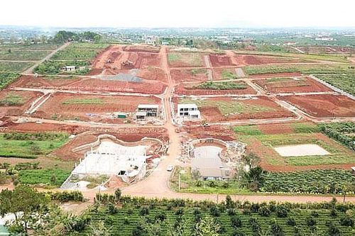 Xử lý nghiêm tình trạng phân lô bán nền, lấn chiếm đất rừng trái pháp luật