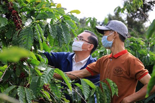 Đắk Lắk đẩy mạnh phát triển du lịch sinh thái nông nghiệp