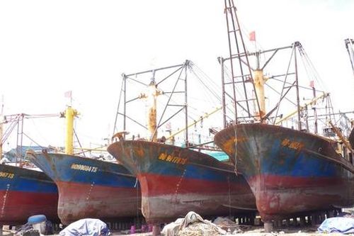 Kỳ 2: Không có khả năng trả nợ, ngư dân phó mặc ngân hàng