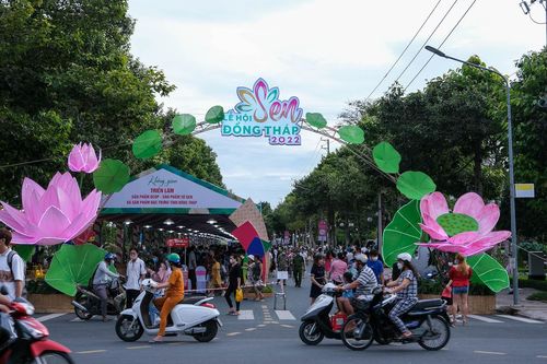 Tập trung khoa học công nghệ, nâng cao giá trị sản phẩm sen tỉnh Đồng Tháp