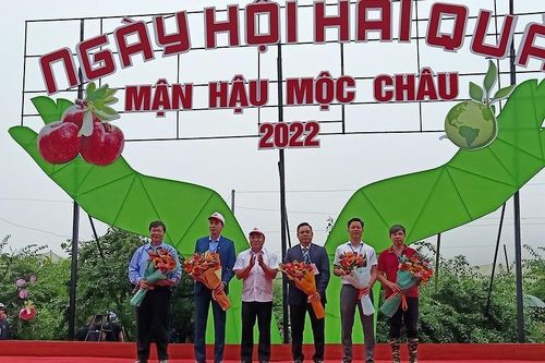 Tưng bừng Ngày hội hái quả trên cao nguyên Mộc Châu