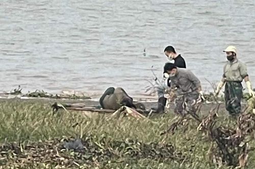 Phát hiện thi thể nam giới trên biển Nam Định, đầu không tóc, tay còn 1 ngón