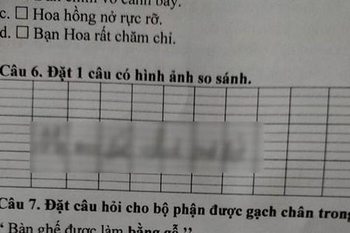Học sinh Tiểu học đặt câu có hình ảnh so sánh, lấy ngay mẹ làm ví dụ khiến người đọc 'bật ngửa'