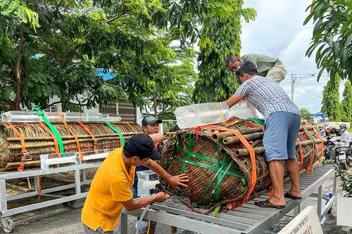 Nấu 2 đòn bánh tét nặng 3 tấn dâng cúng Bà Chúa Xứ núi Sam