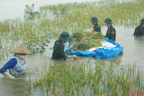 Mưa lũ gây thiệt hại nặng tại nhiều tỉnh phía bắc