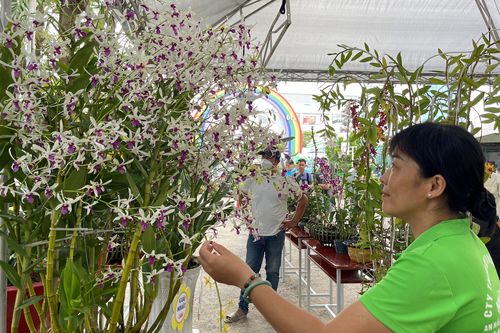 Nông dân trồng lan và cây kiểng gặp gỡ trong Hội chợ, triển lãm sản phẩm nông nghiệp tiêu biểu TPHCM