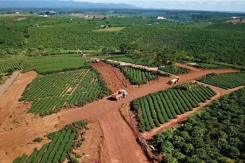 Huyện Di Linh (Lâm Đồng): Một số trường hợp tự ý mở đường, làm biến dạng đất nông nghiệp